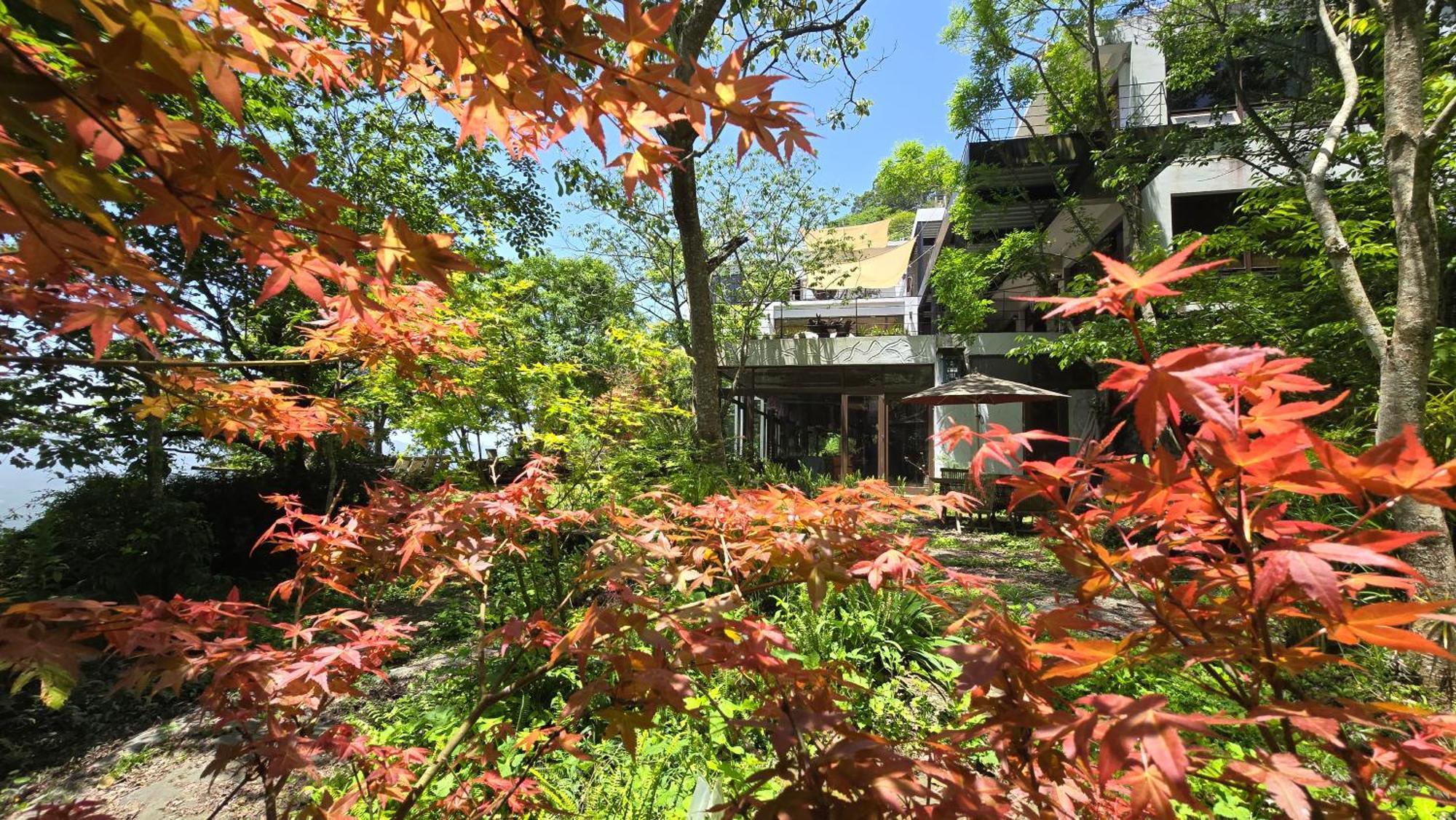 داهو Maple Map B&B المظهر الخارجي الصورة